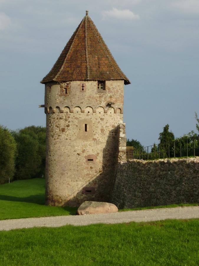 Gite La Maison Bleue Bergheim Exterior foto
