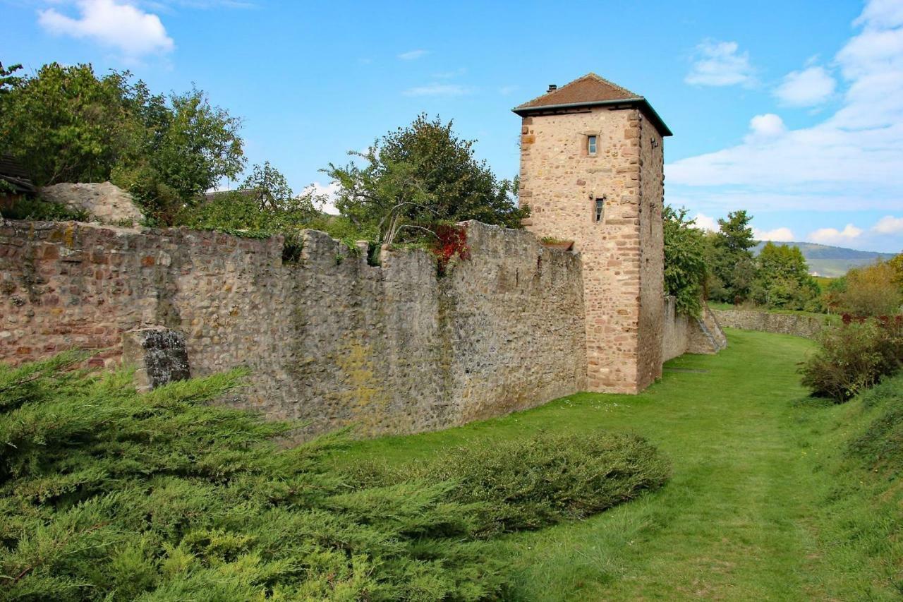 Gite La Maison Bleue Bergheim Exterior foto